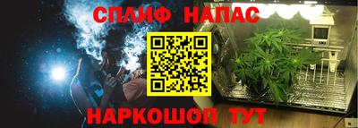 МДПВ Тара