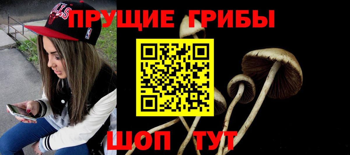 Галлюциногенные грибы GOLDEN TEACHER Воронеж